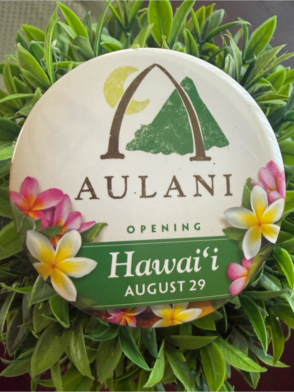 DISNEY RESORT🌸AULANI🌸OPENING🌴HAWAII AUGUST 29🌴COLLECTIBLE PINBACK BUTTON